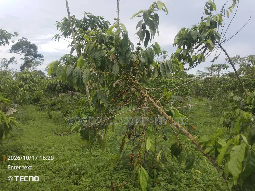 5 Acres of Land in Vumba Busika 3km Off Tarmac in Central Division