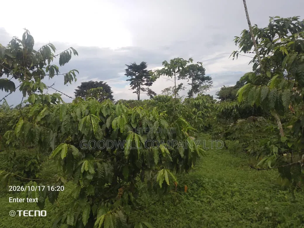 5 Acres of Land in Vumba Busika 3km Off Tarmac in Central Division