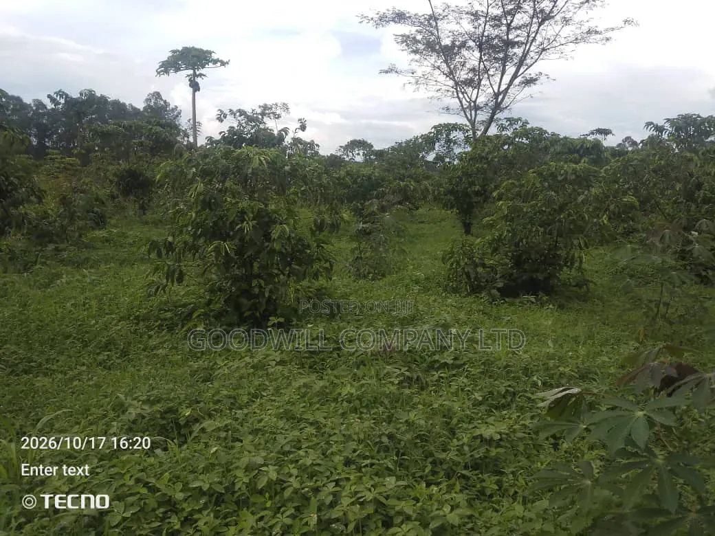 5 Acres of Land in Vumba Busika 3km Off Tarmac in Central Division