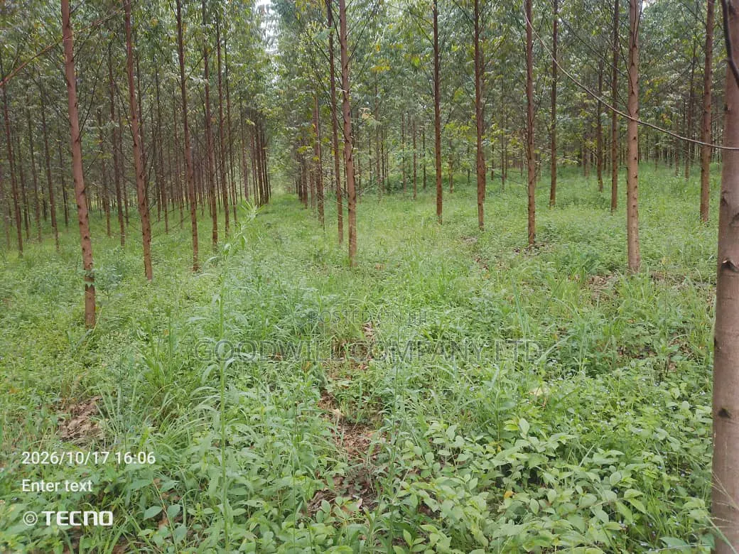 6 Acres of Land in Vumba Busika With Karintusi 3km Off Tarmac Riad in Central Division