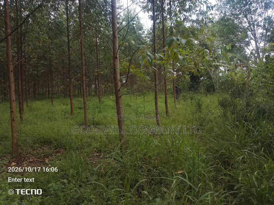 6 Acres of Land in Vumba Busika With Karintusi 3km Off Tarmac Riad in Central Division