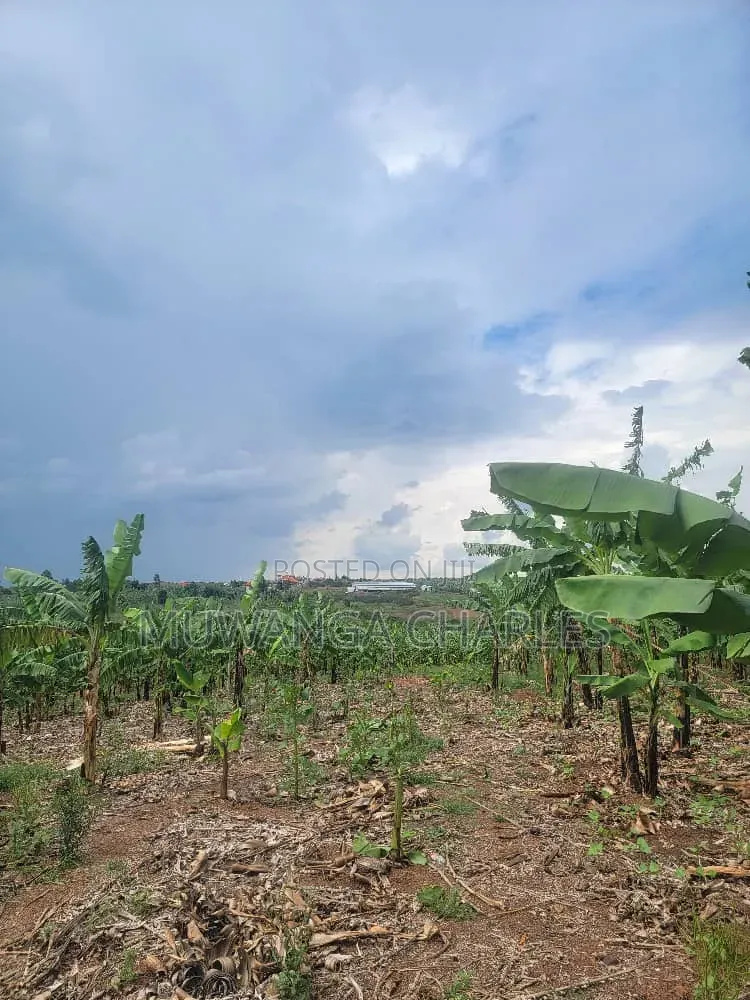 Plots Available on Sale Gayaza Kalungu in Central Division