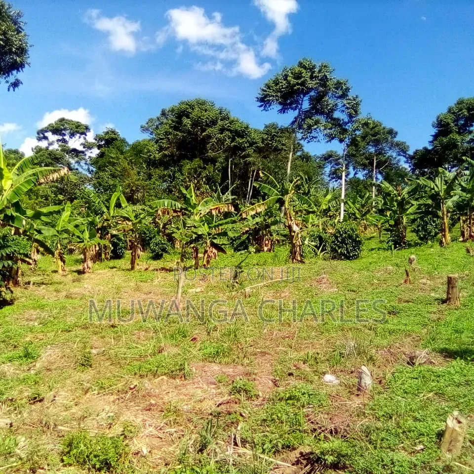 Plots Available on Sale Gayaza Kalungu in Central Division