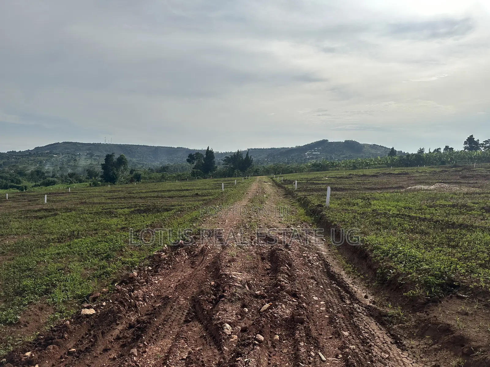 Land for Sale Masaka Road Kampiringisa in Central Division