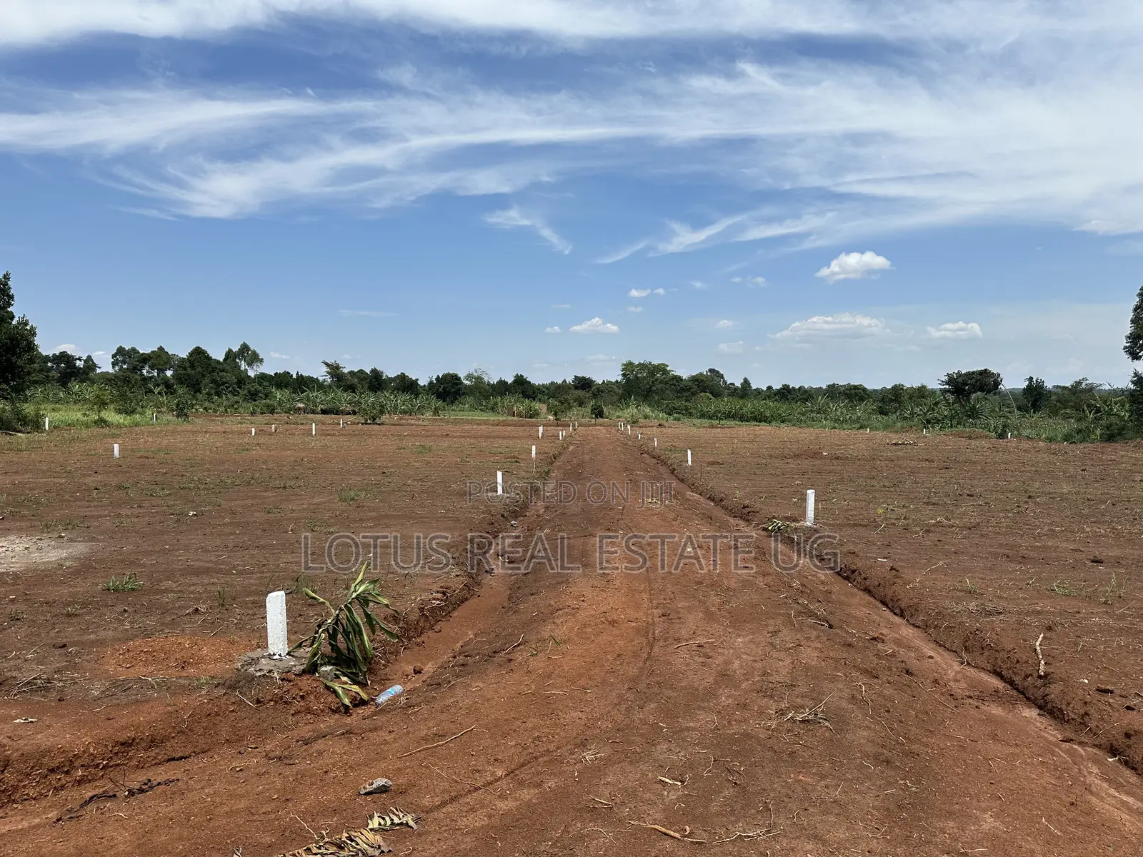 Plots for Sale Zirobwe Kakakala in Zirobwe