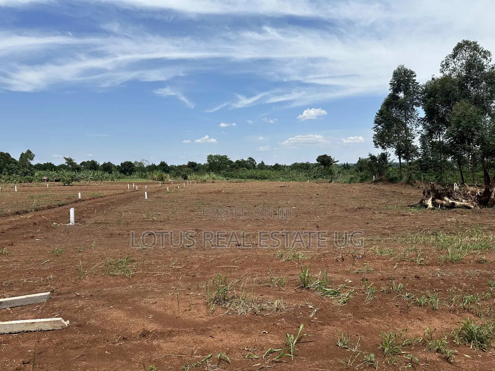 Plots for Sale Zirobwe Kakakala in Zirobwe