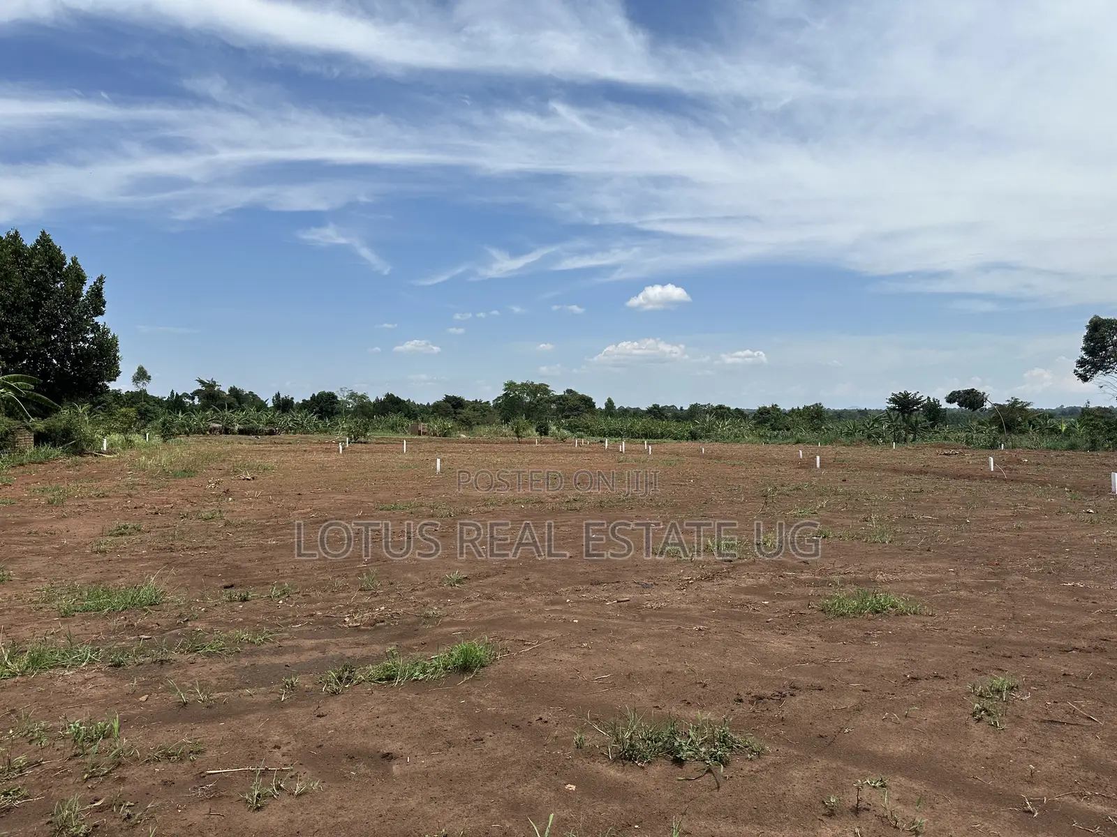 Plots for Sale Zirobwe Kakakala in Zirobwe