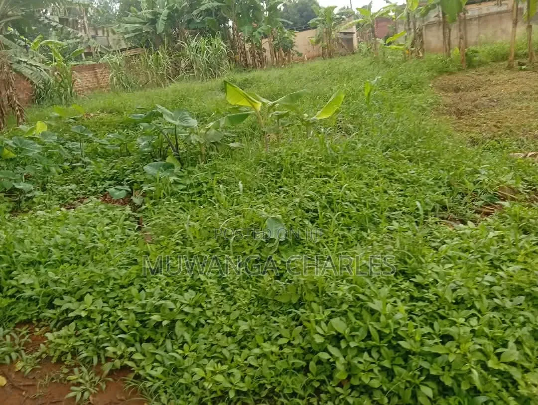 Plots Available to Sale at Gayaza Makenke in Division A