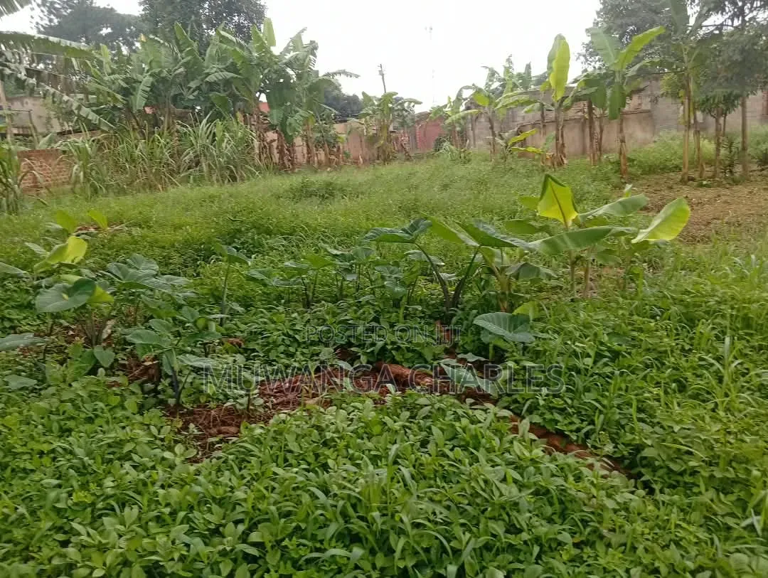 Plots Available to Sale at Gayaza Makenke in Division A