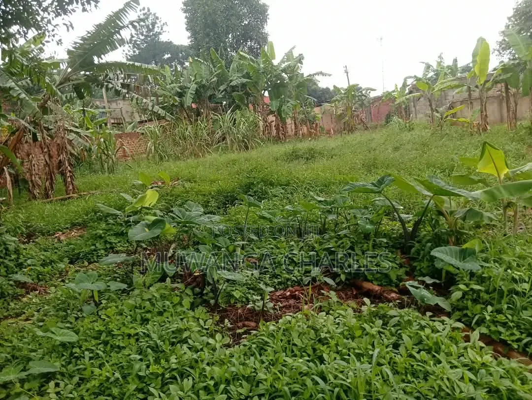 Plots Available to Sale at Gayaza Makenke in Division A