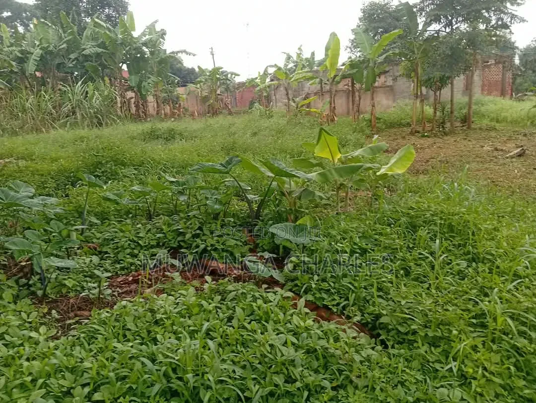 Plots Available to Sale at Gayaza Makenke in Division A