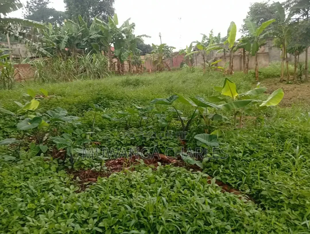 Plots Available to Sale at Gayaza Makenke in Division A
