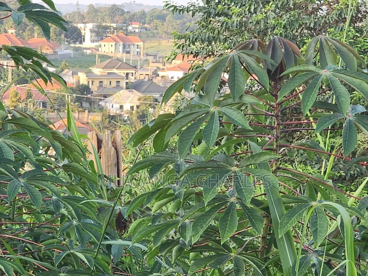 Plot Available to Sale at Kira Kitikifumba in Division A