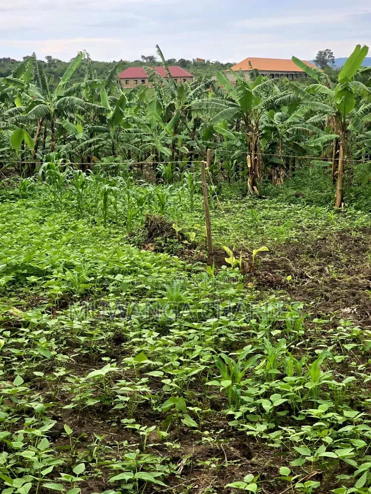 Plots on Sale at Matugga Kiwebwa in Gombe