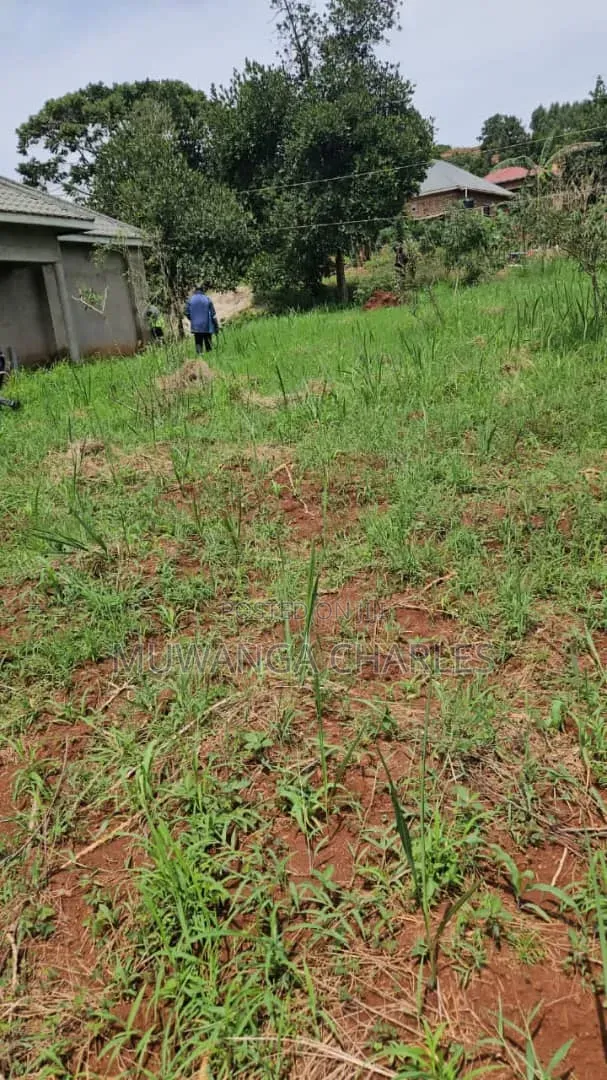 Plots Available on Sale at Matugga Sanga in Gombe