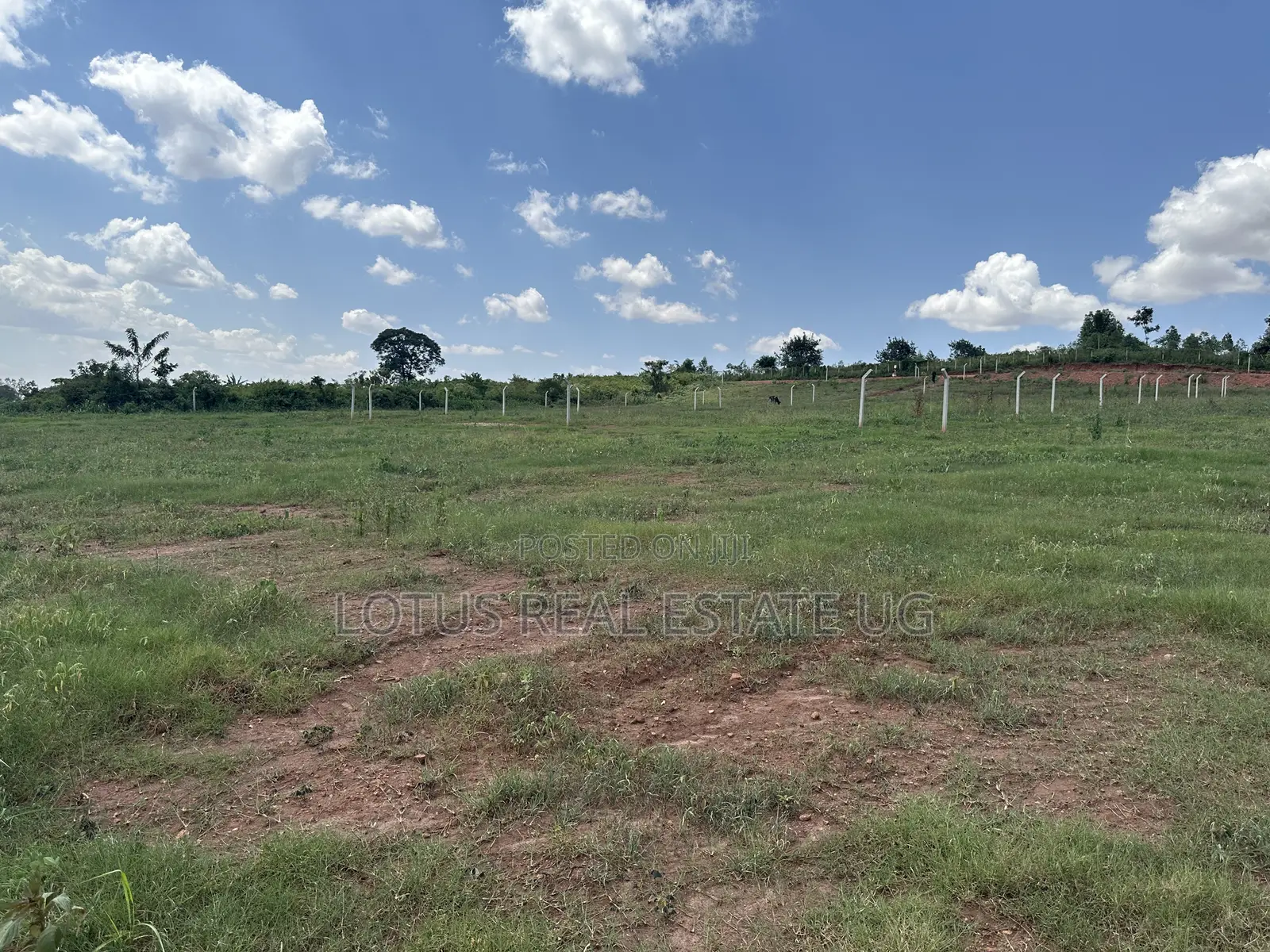 Plots for Sale in Busukuma Gayaza Road in Busukuma