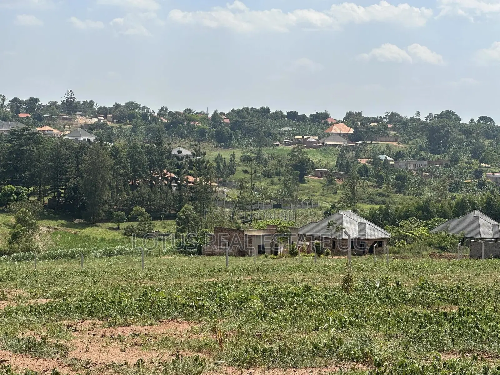 Plots for Sale in Busukuma Gayaza Road in Busukuma