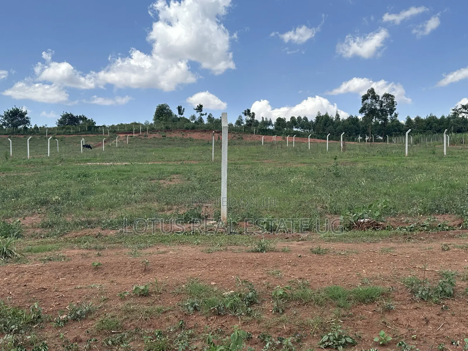 Plots for Sale in Busukuma Gayaza Road in Busukuma