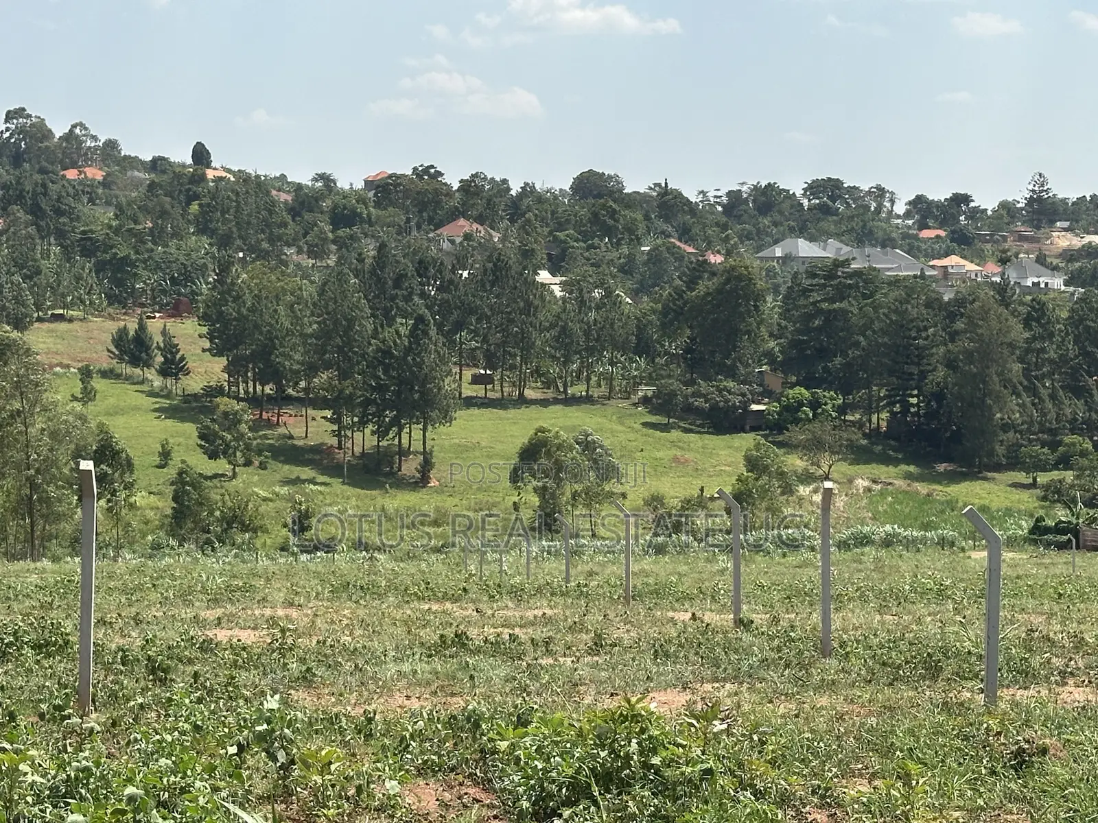 Plots for Sale in Busukuma Gayaza Road in Busukuma