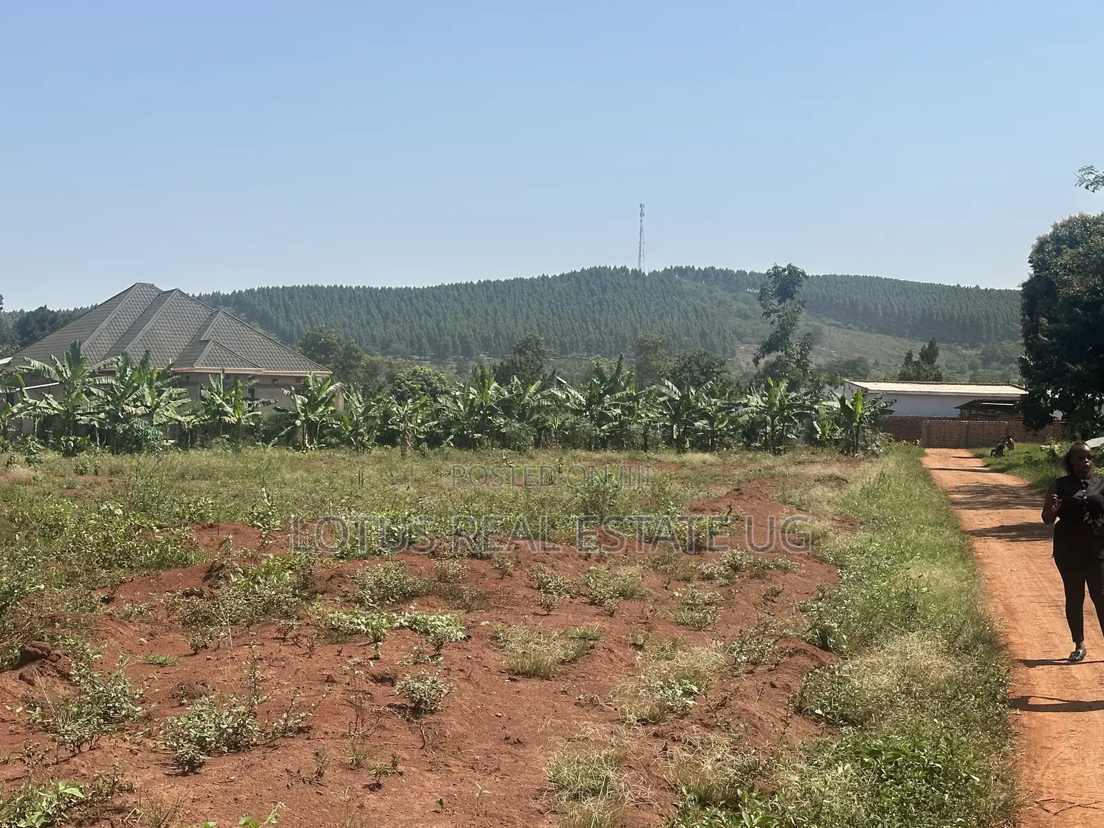 Plots for Sale in Kalagala Busika in Kalagala