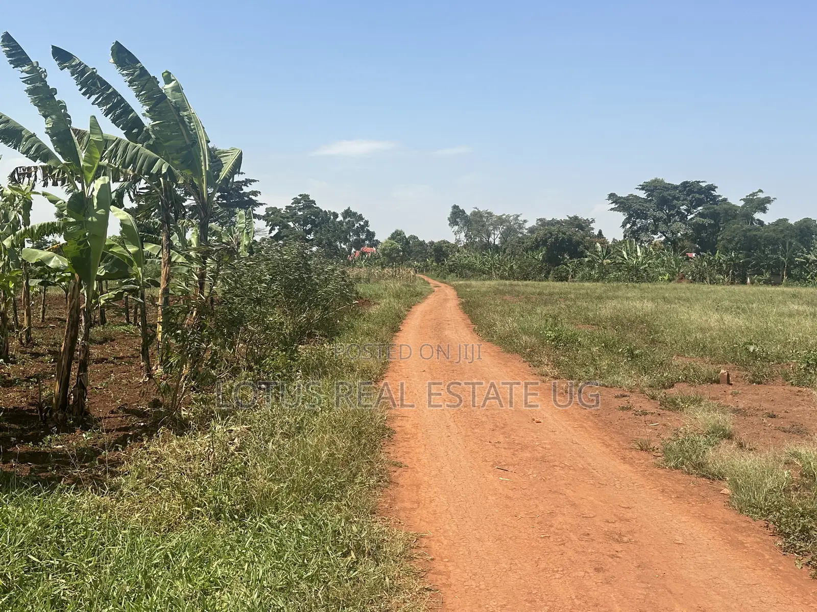 Plots for Sale in Kalagala Busika in Kalagala