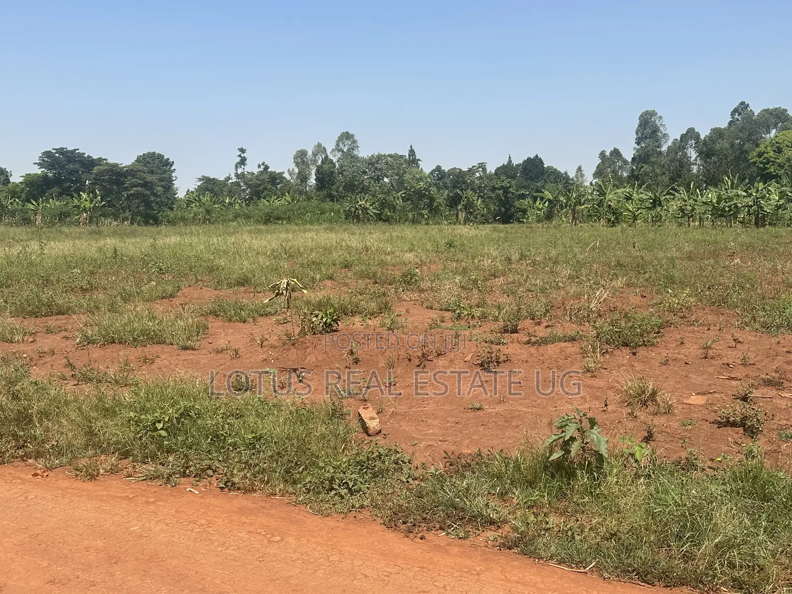 Plots for Sale in Kalagala Busika in Kalagala