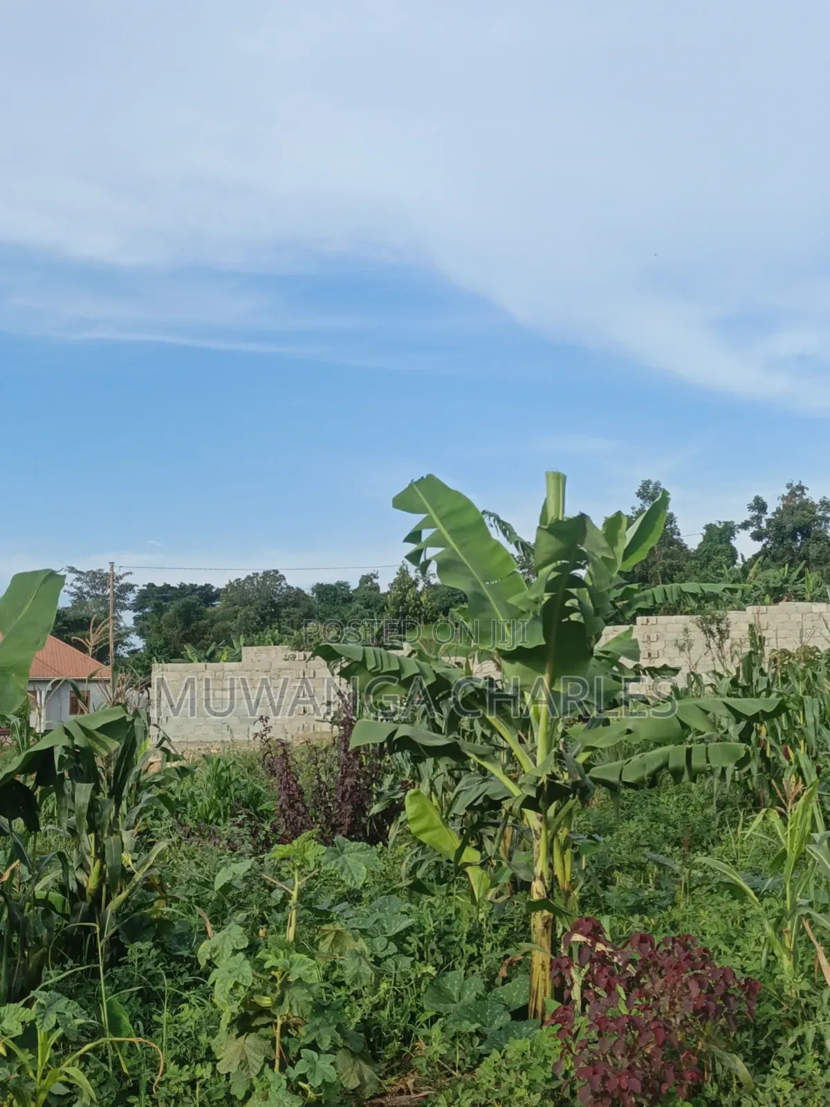 Plots Onon Sale at Gayaza Jiita Town in Central Division