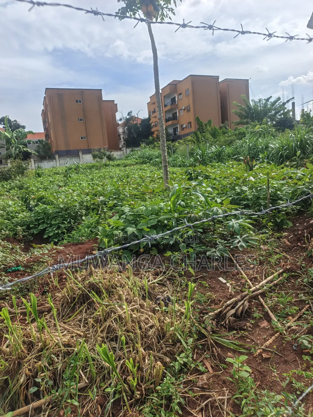 50decimals of Land on Sale at Kyanja Komamboga in Nakawa