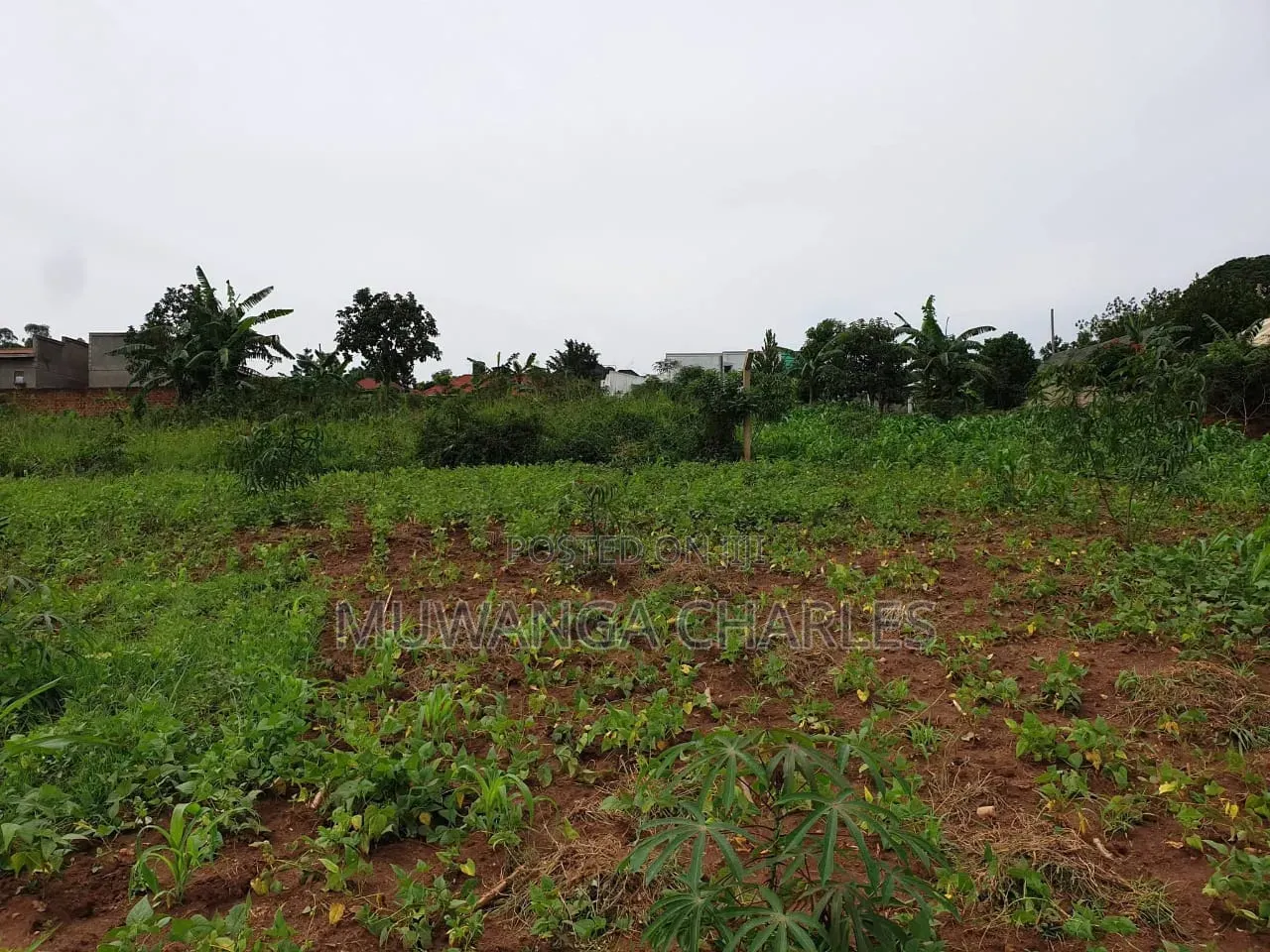 Plots on Sale at Gayaza Kayebe in Central Division