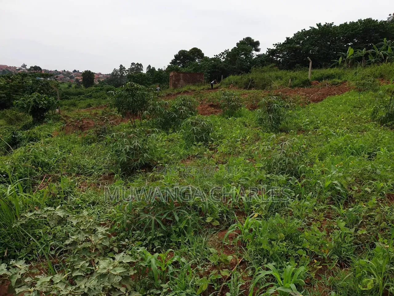 Plots on Sale at Gayaza Kayebe in Central Division
