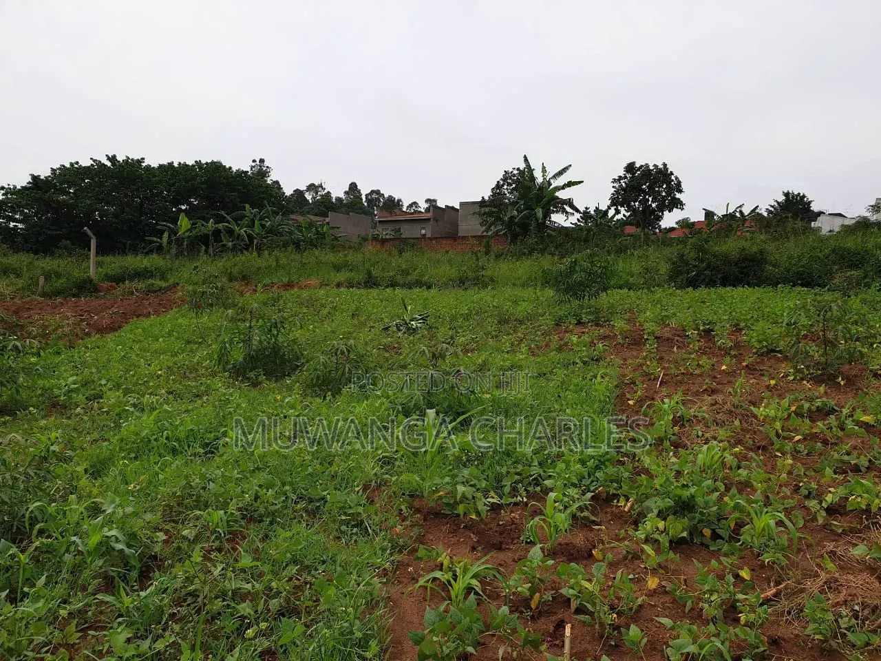 Plots on Sale at Gayaza Kayebe in Central Division