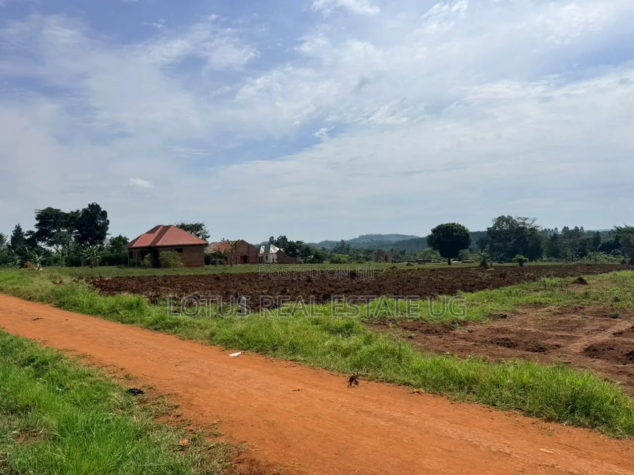Plots for Sale in Vumba Busiika Gayaza Road in Central Division