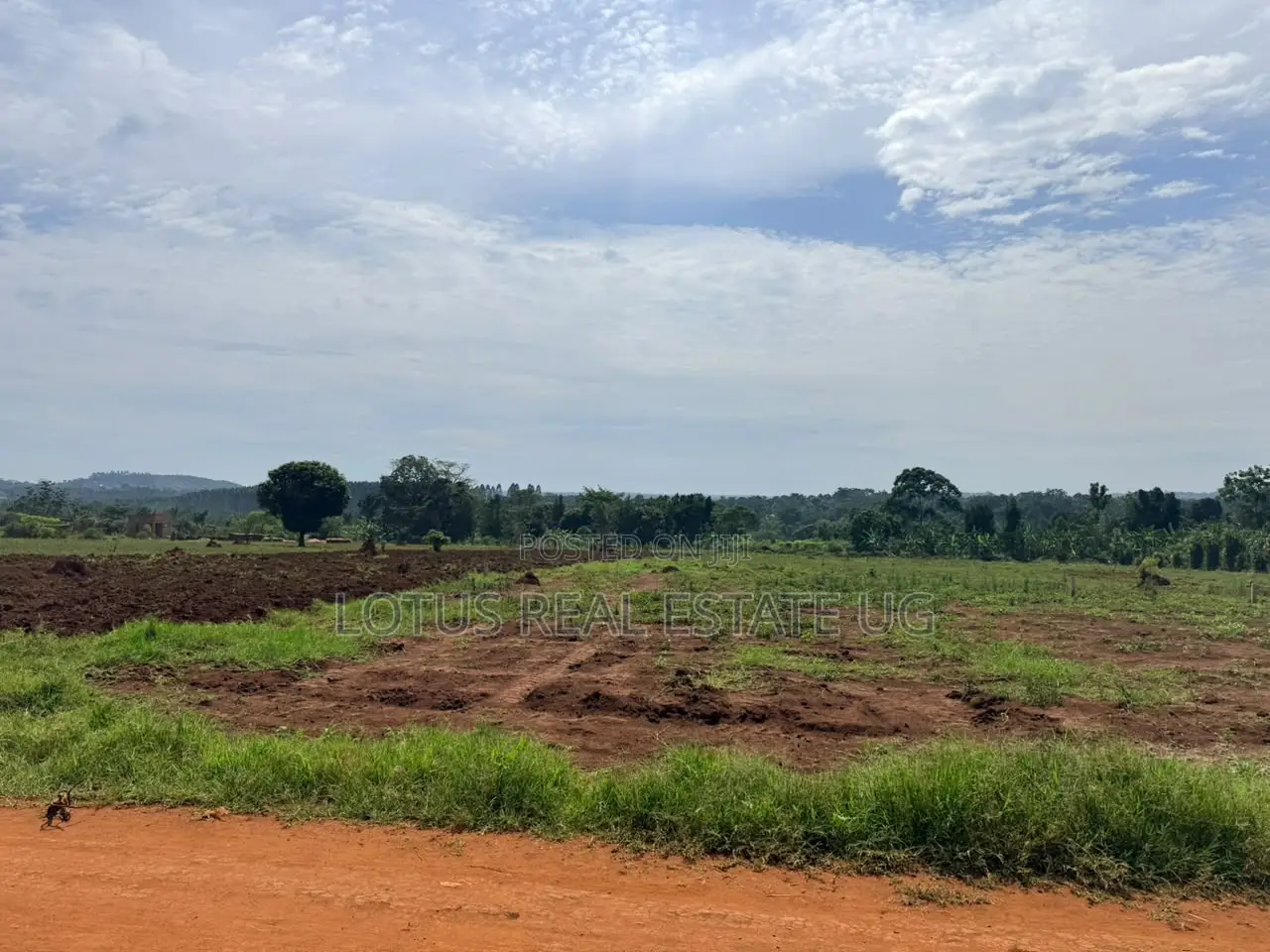 Plots for Sale in Vumba Busiika Gayaza Road in Central Division