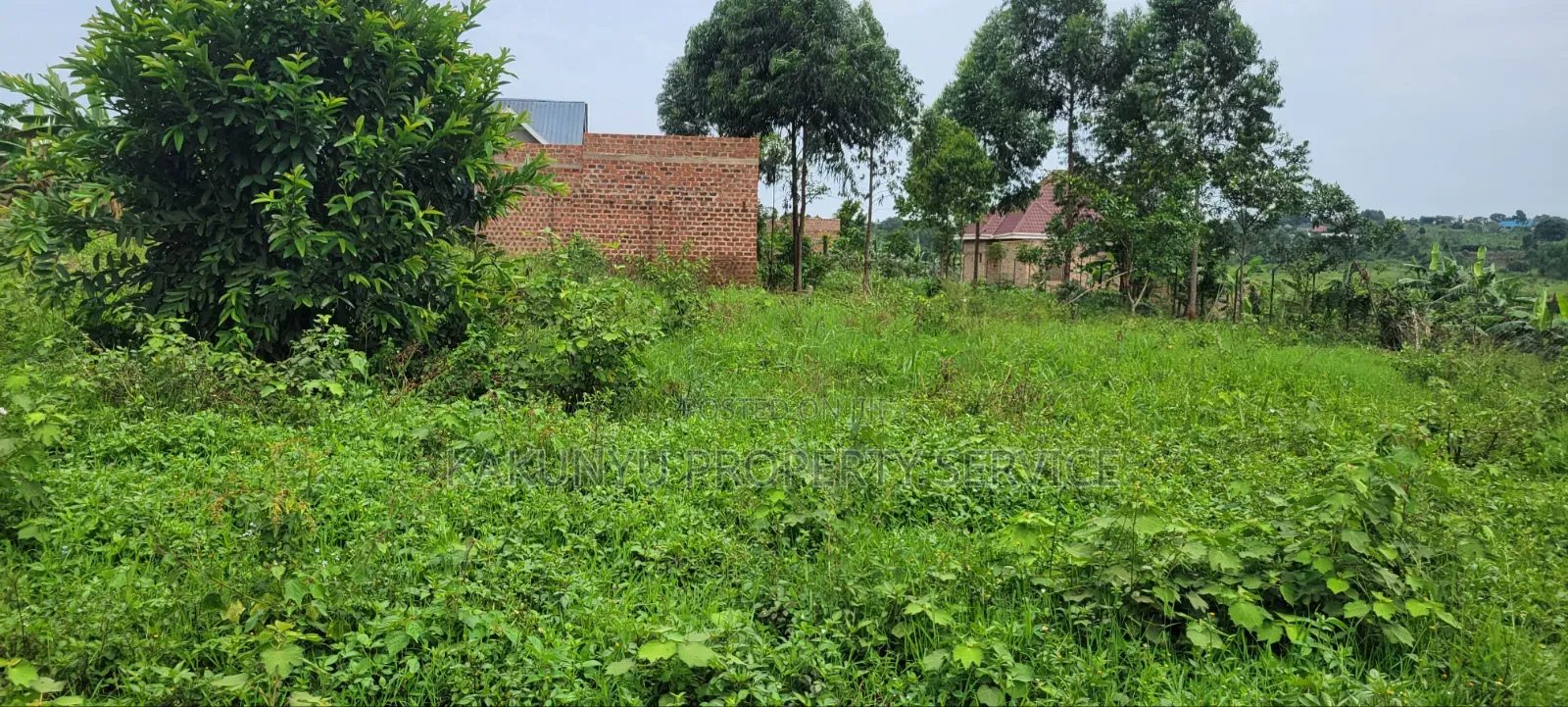 Kakiri 8m Plots in Wakiso / Wakiso