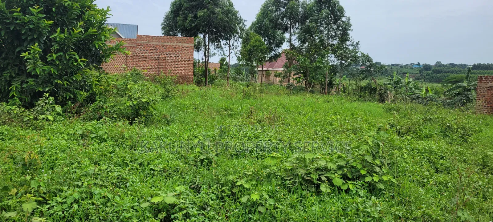 Kakiri 8m Plots in Wakiso / Wakiso