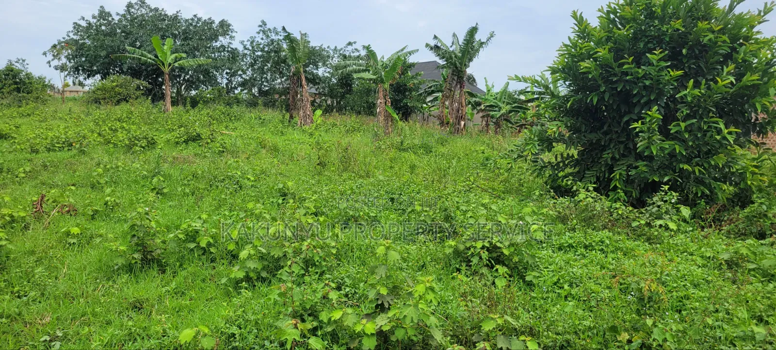 Kakiri 8m Plots in Wakiso / Wakiso