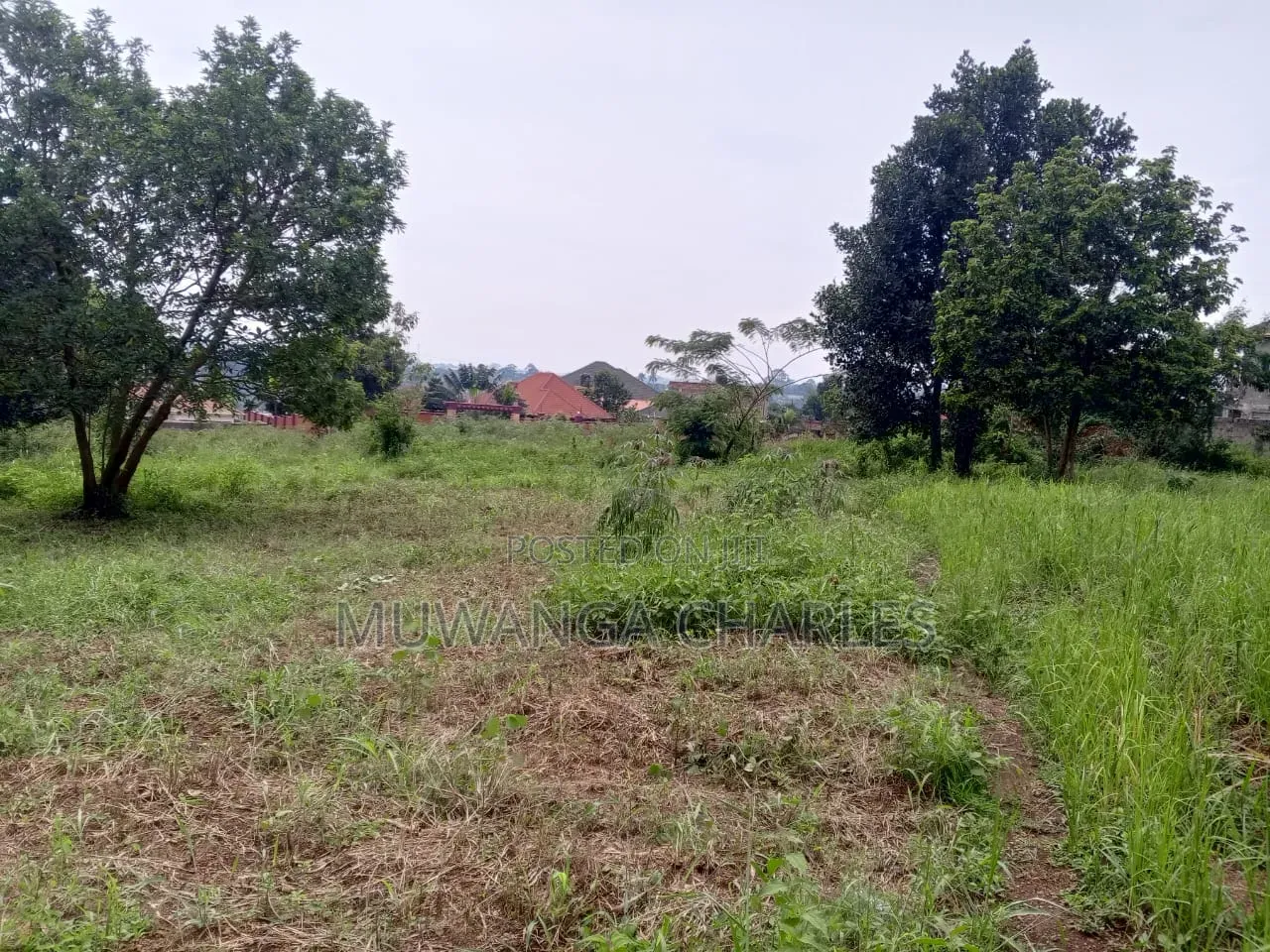 Land on Sale at Gayaza Nakasajja Near Main in Division A