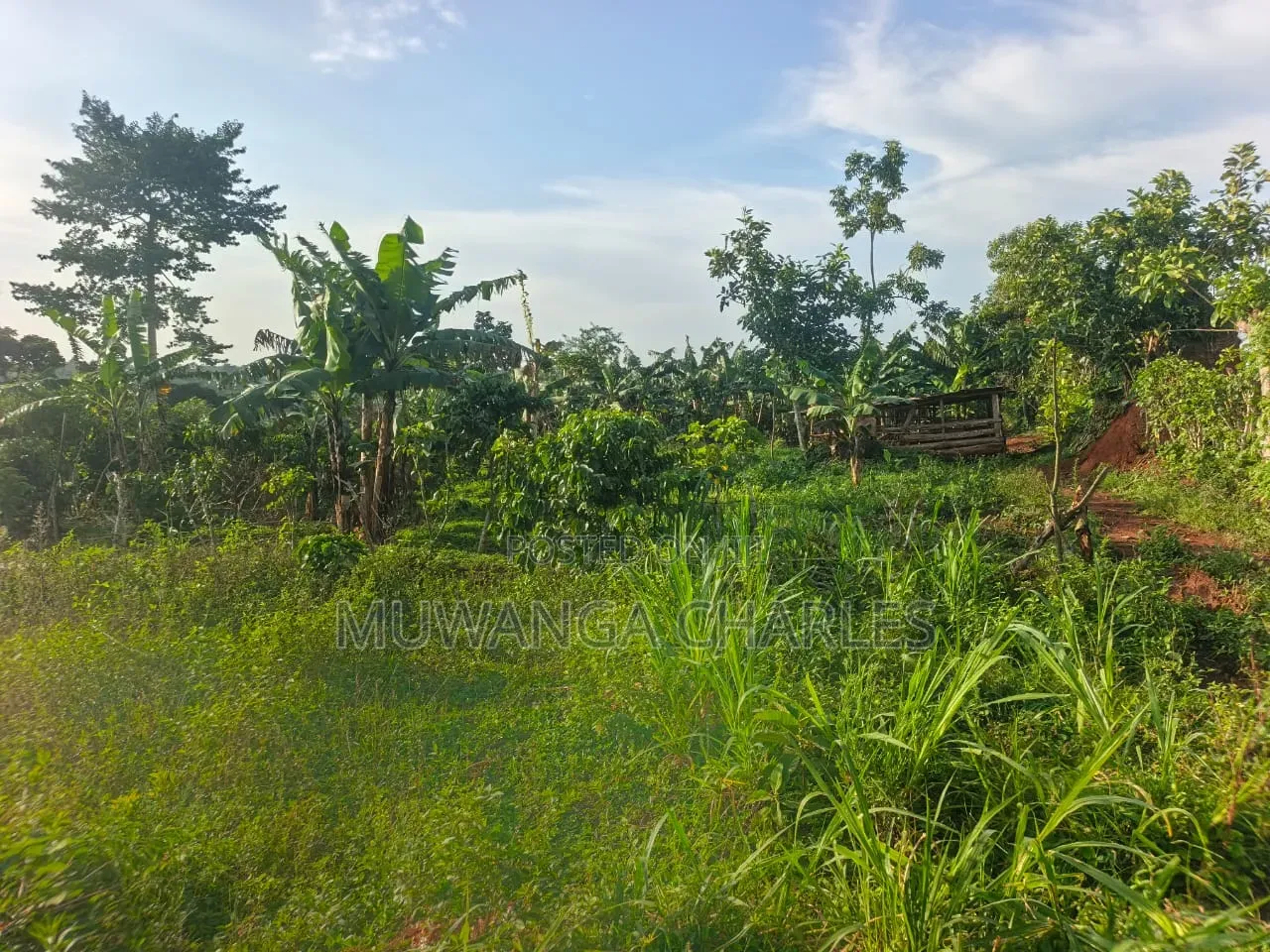Land on Sale at Zirobwe Kiyiya in Zirobwe