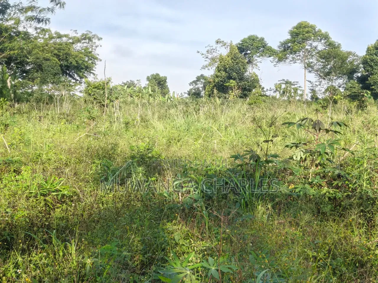 Land on Sale at Zirobwe Kiyiya in Zirobwe