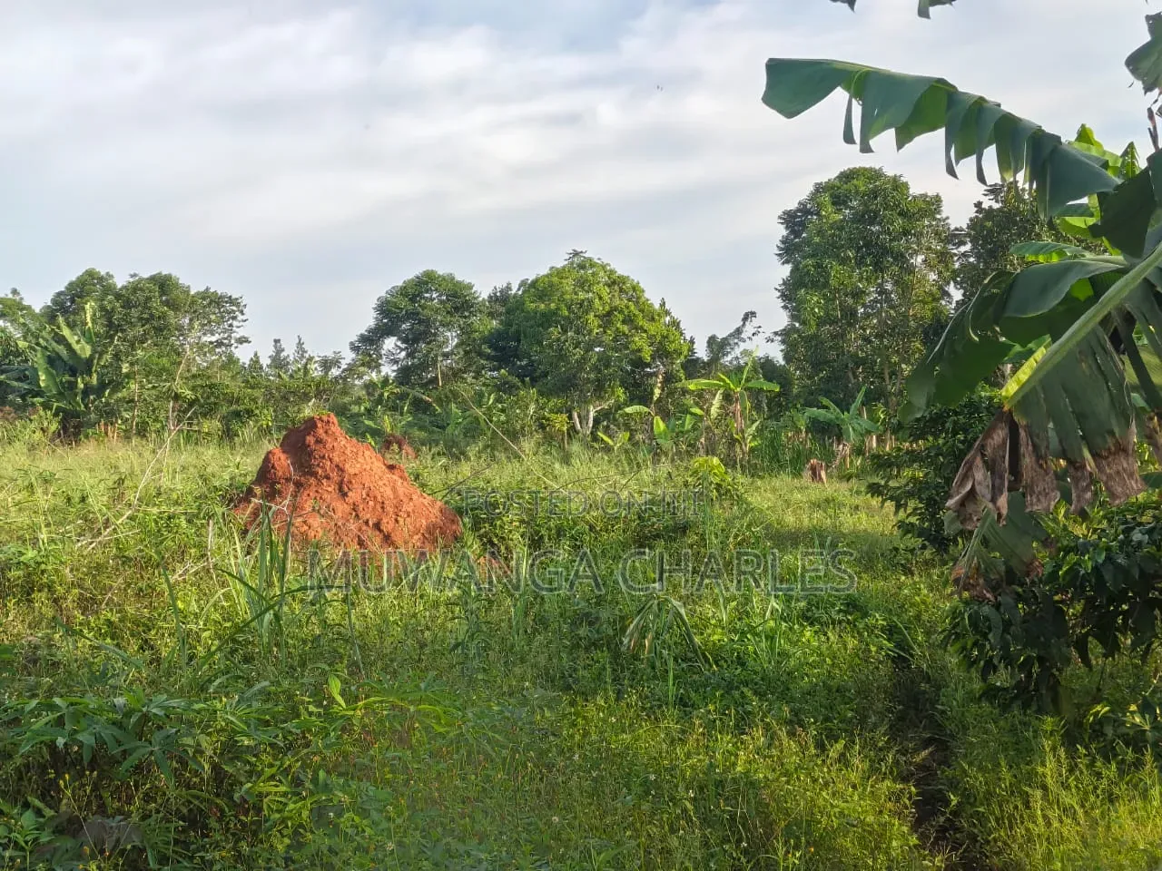 Land on Sale at Zirobwe Kiyiya in Zirobwe