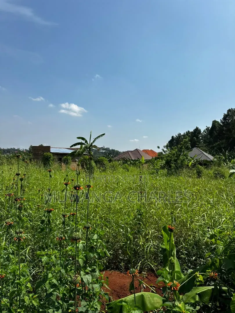 Plot on Sale Matugga Kanyanda in Gombe