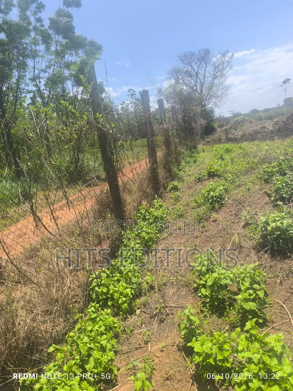For Agricultural Purposes in Kakooge