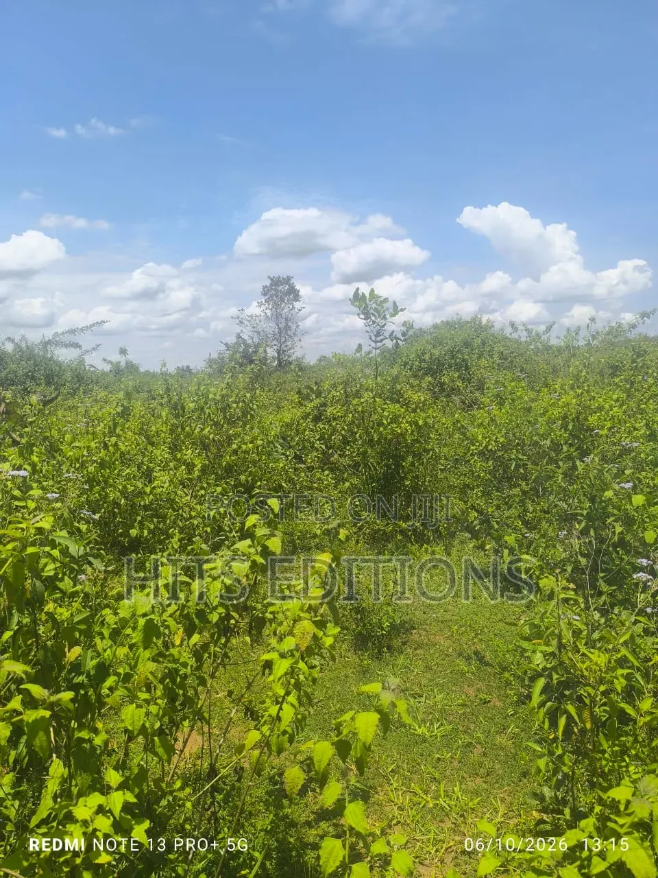 For Agricultural Purposes in Kakooge