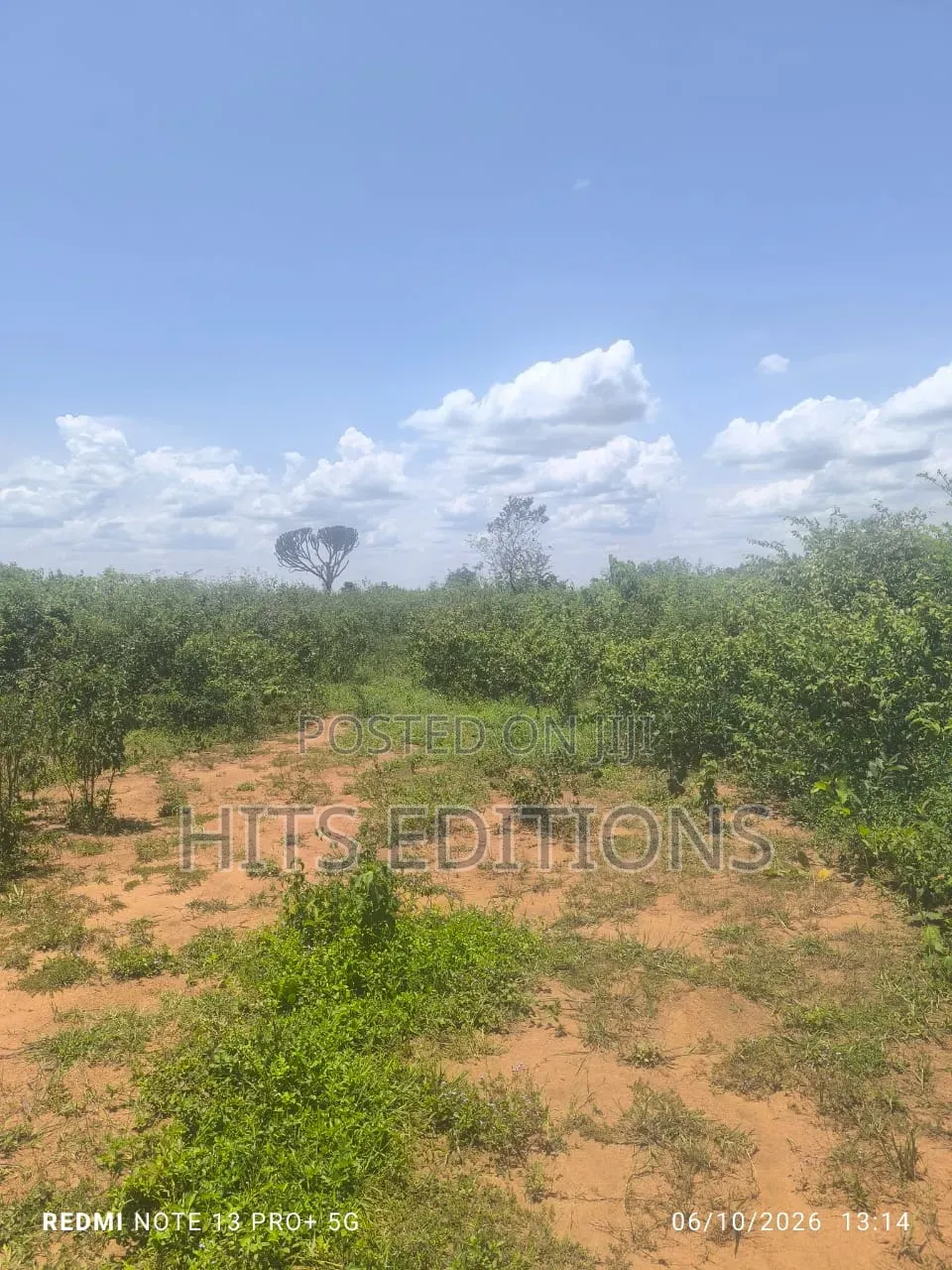 For Agricultural Purposes in Kakooge