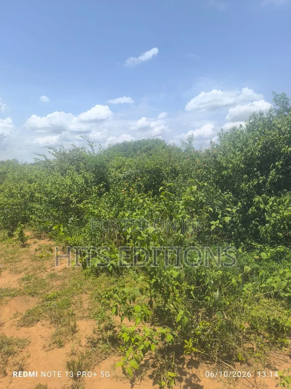 For Agricultural Purposes in Kakooge