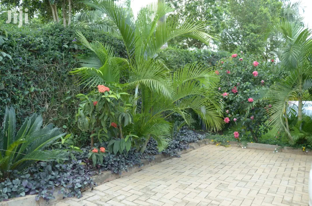 5bdrm Duplex in Kololo Property, Kampala for Rent in Kampala