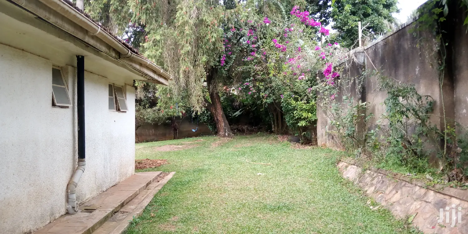 Four Bedroom House In Muyenga For Rent in Kampala