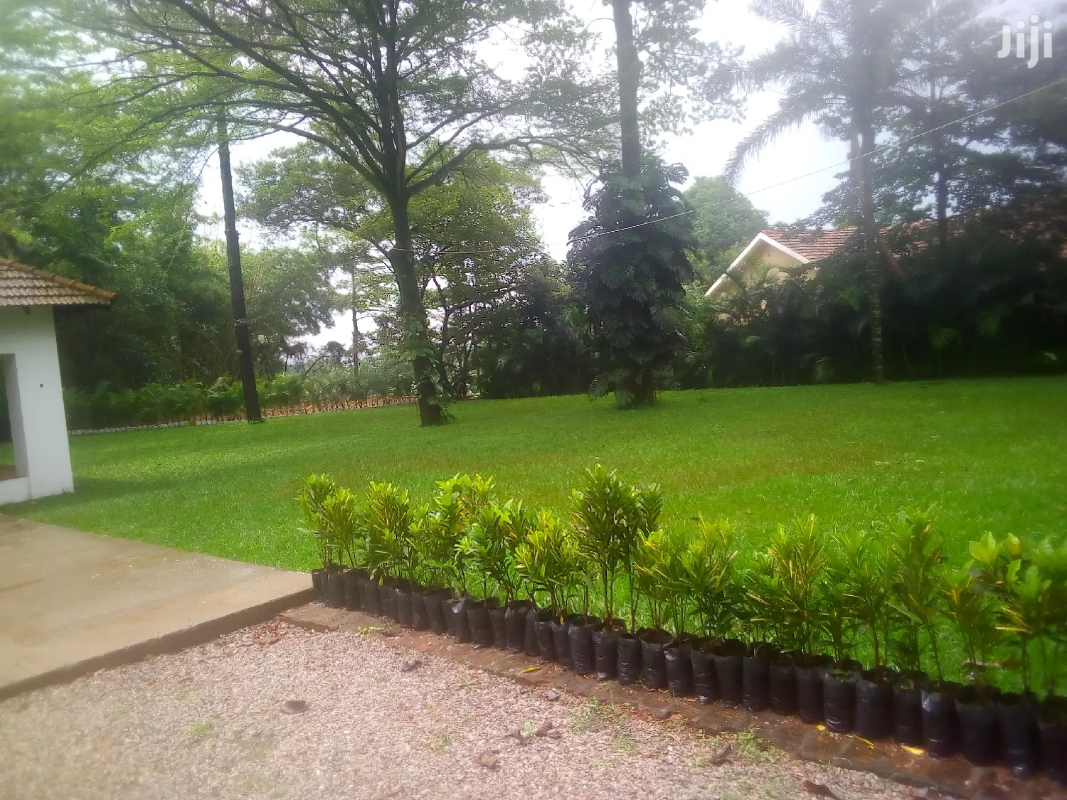 Diplomatic Mansion in Kampala