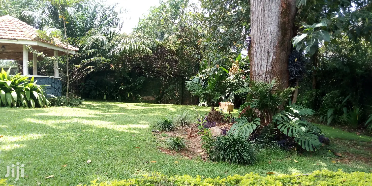 Bugolobi House Is Available For Rent in Kampala