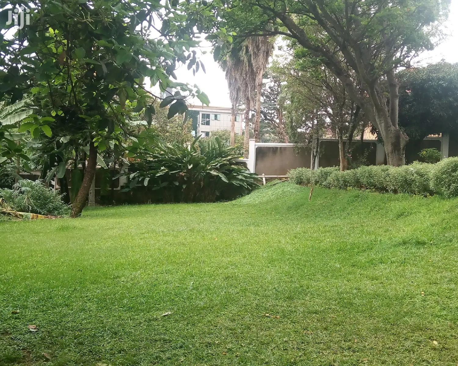House Is For Rent in Kampala